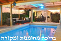 פרונסין