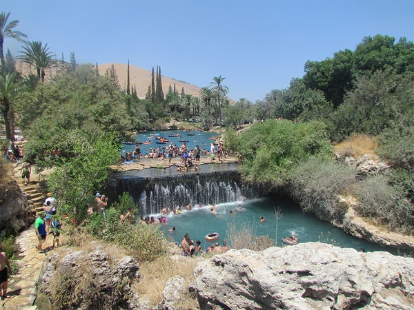 גן השלושה פסח 2019