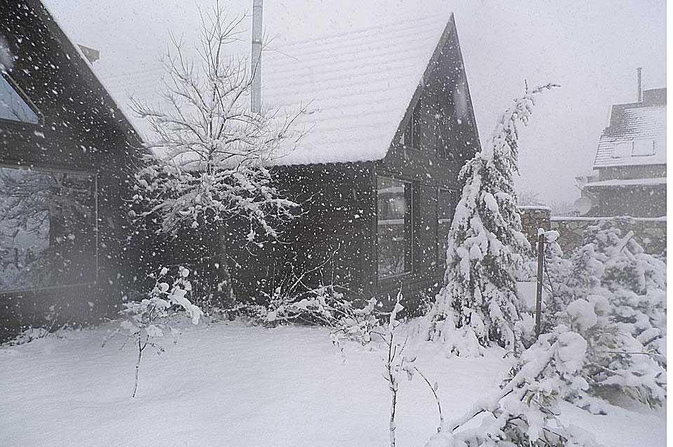 סיכוי לשלג בחורף