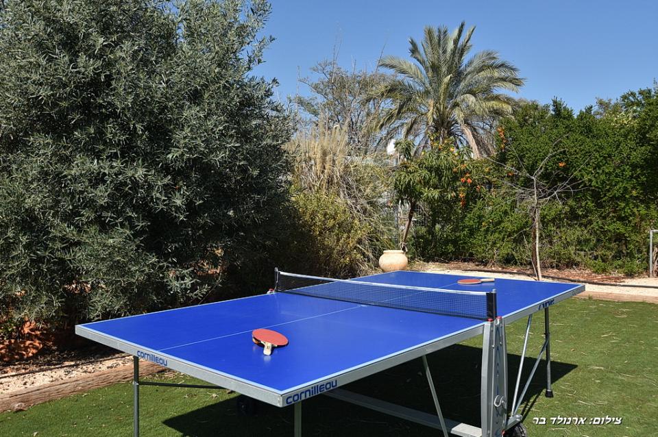 שטח חוץ גדול מוקף בצמחיה מטופחת עם נדנדות, פינות ישיבה ושולחן פינג פונג