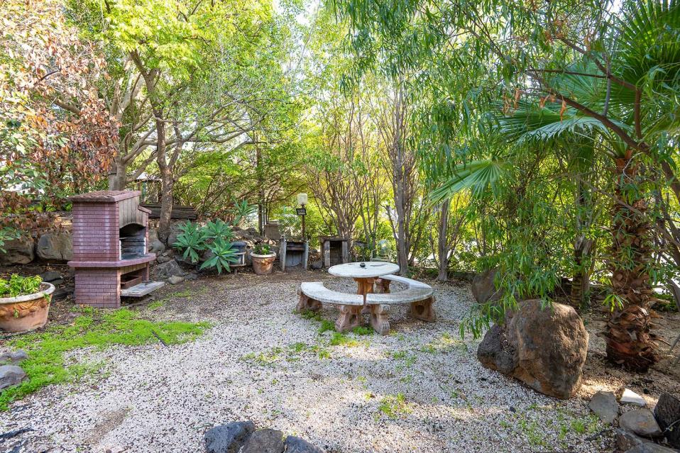 מתחם חוץ גדול מוקף בצמחיה