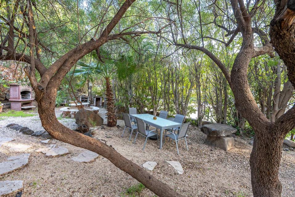 שלל פינות חמד מוצלות