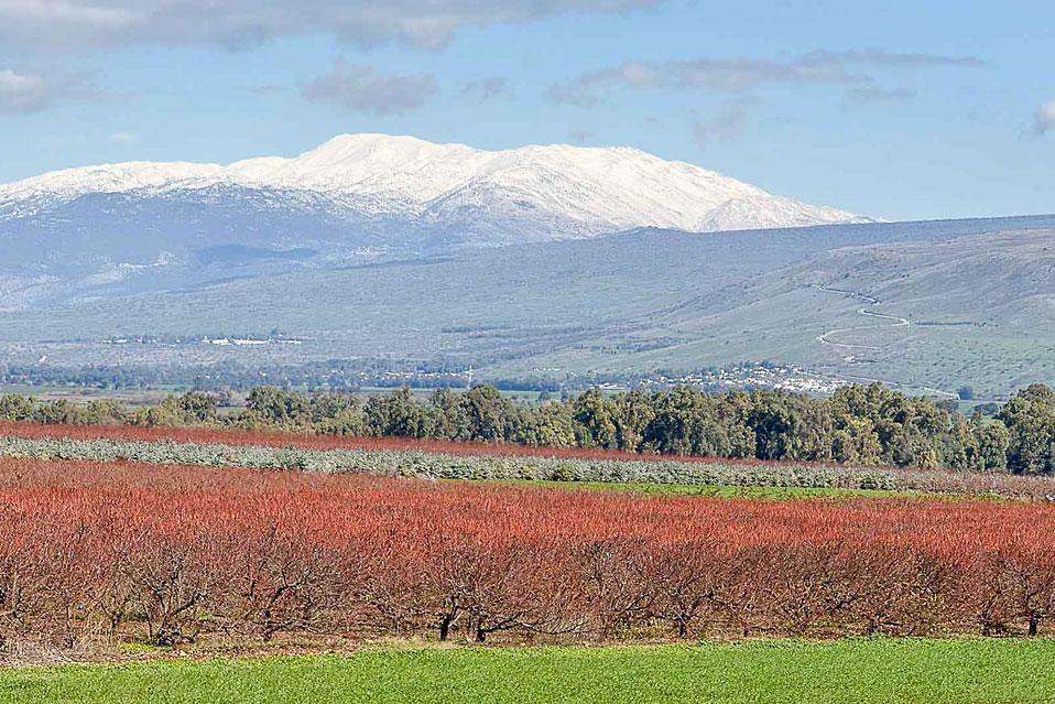 מבט אל החרמון - נוף מהבקתה