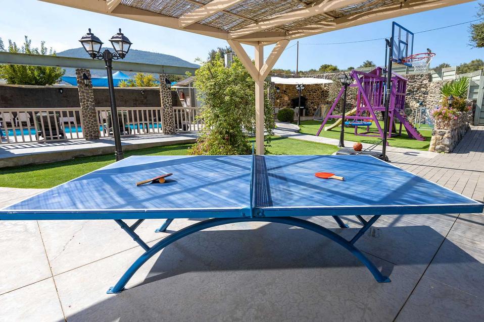 שולחן פינג פונג ומתקני שעשועים נוספים