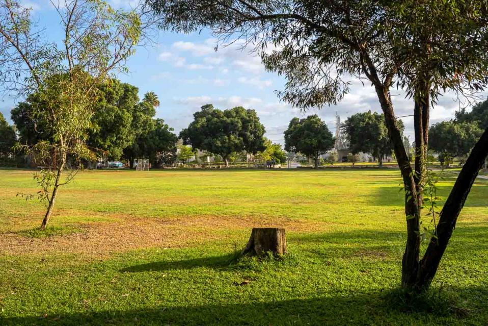 מדשאות רחבות, שבילי קיבוץ ונוף ירוק