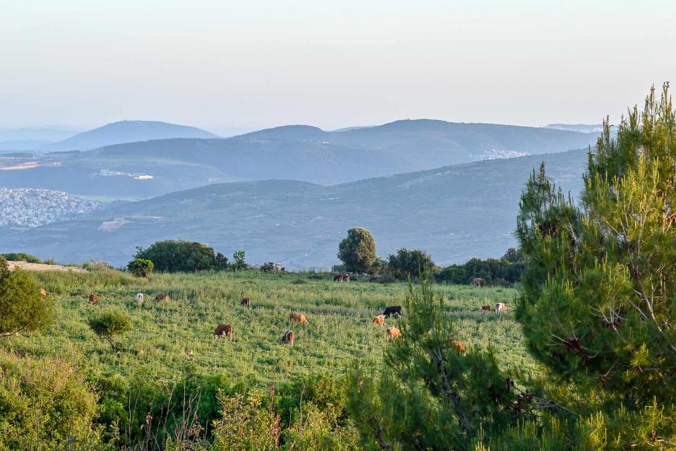 נוף פתוח נשקף מהווילה