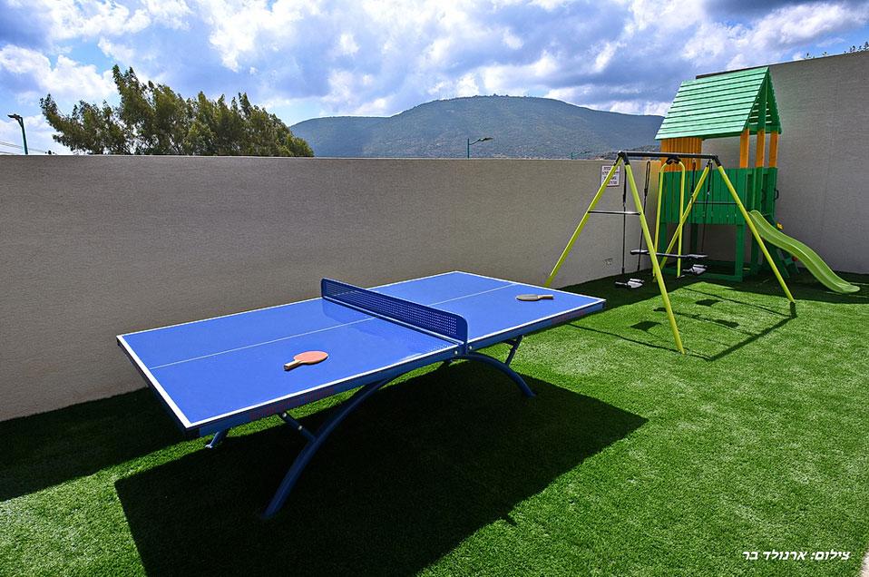 טניס שולחן בחצר