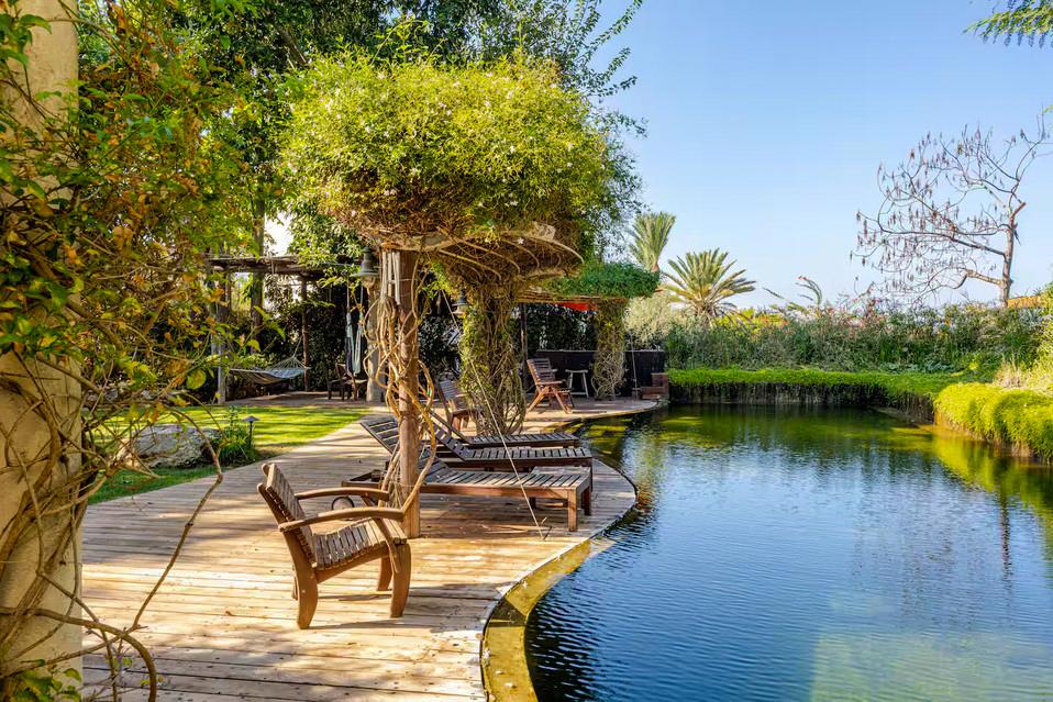 בריכה אקולוגית מיוחדת במרכז החצר